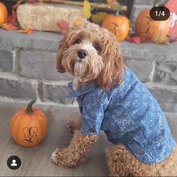 Meet your Posher, Toni - Picture 8 of 8